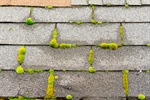 Risks of Skipping Roof Cleaning: Moss, Mold, Water Damage, & Insurance Problems