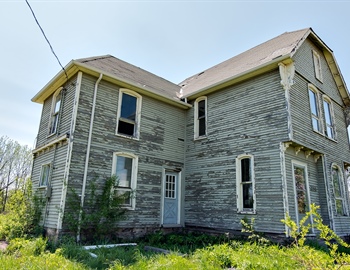 The Dark Side: Siding With Mold, Mildew, & Algae Can Cause Structural Damage