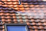 How Exterior Buildup Shortens the Lifespan of Siding, Roofing, and Concrete