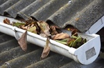 Why Gutter Cleaning Is Crucial for Home Maintenance & Property Value