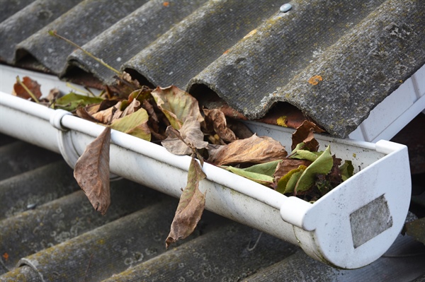 Why Gutter Cleaning Is Crucial for Home Maintenance & Property Value