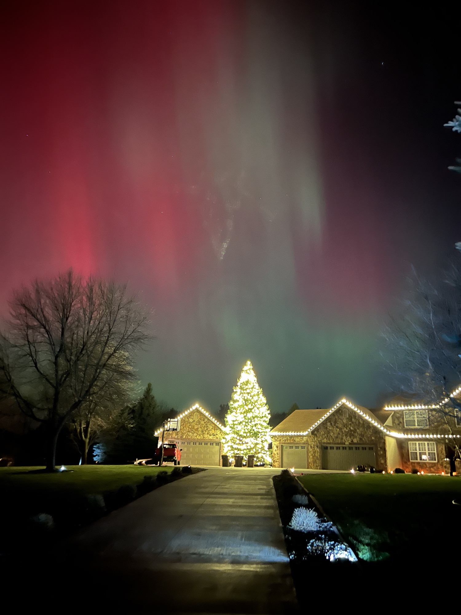 Christmas lights on a house and tree under the northern lights