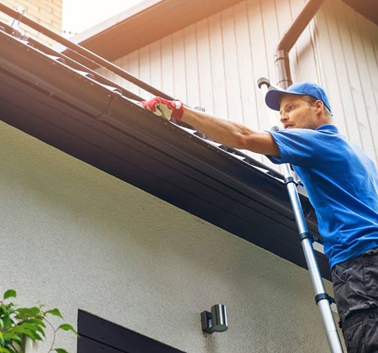 Gutter Cleaning