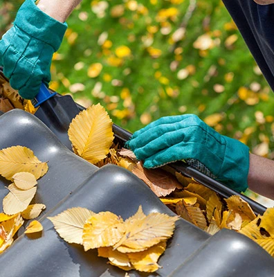 Gutter Cleaning